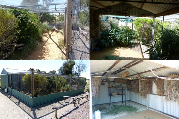 A look at some great finch aviaries - Aviculture Hub