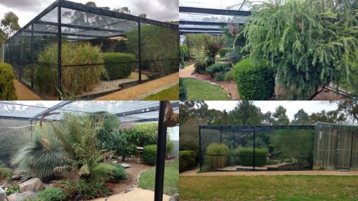 A look at some great finch aviaries - Aviculture Hub